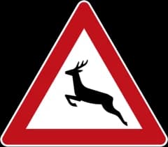 Wildwechsel